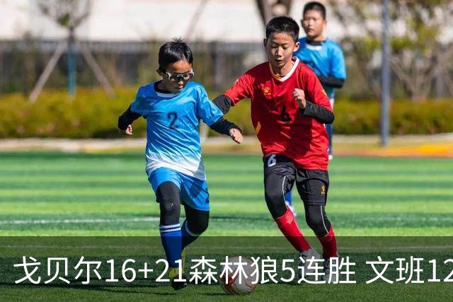 戈贝尔16+21森林狼5连胜 文班12+10马刺15连败